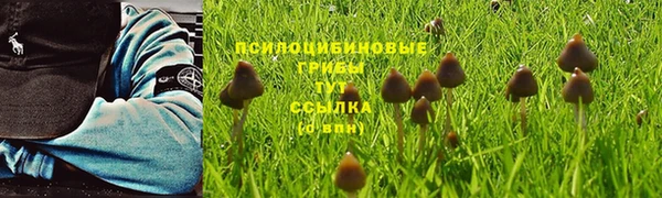 прущая мука Наволоки